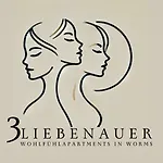 公寓 3liebenauer Boutique *